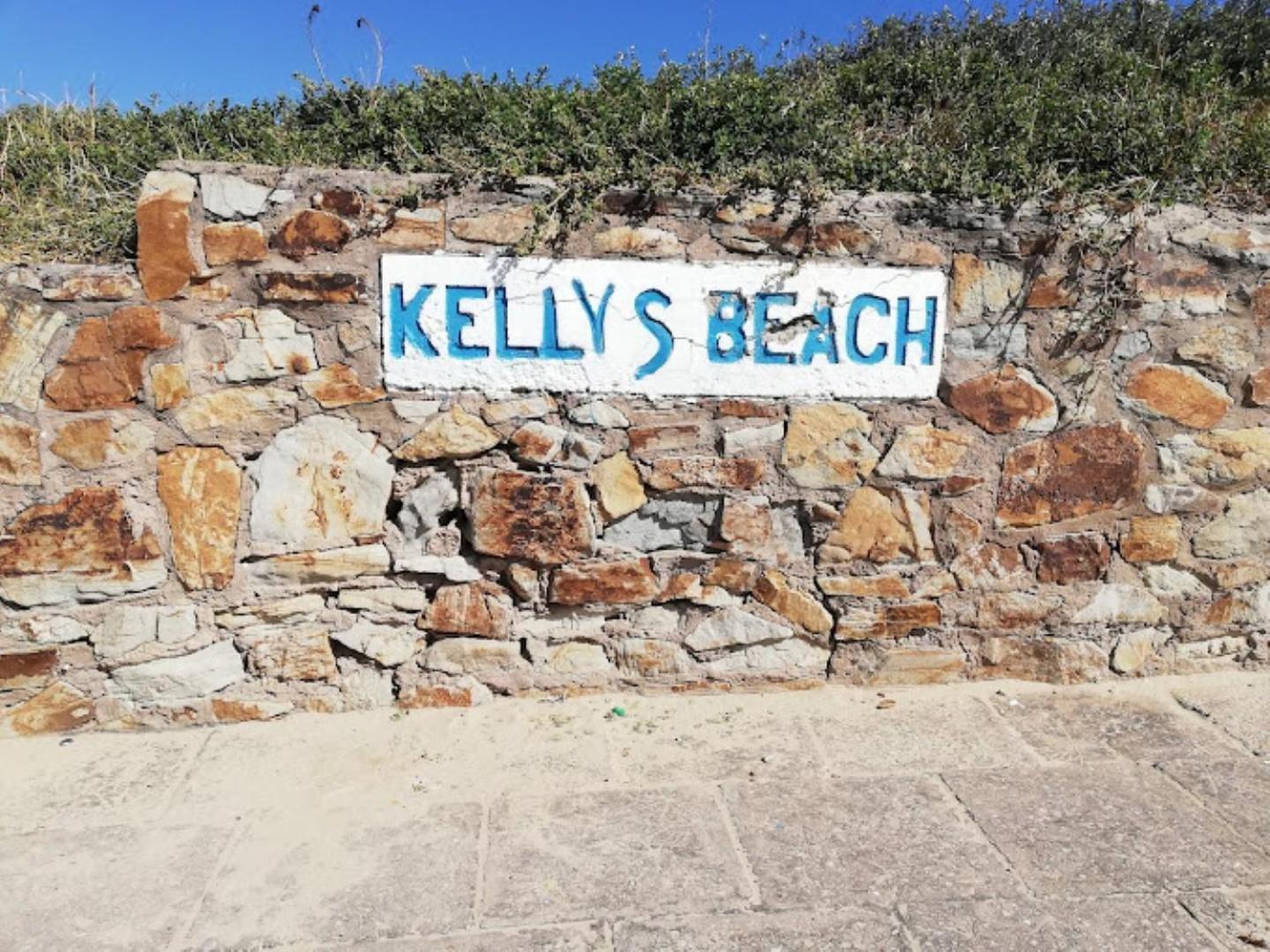 Kelly'S Beachfront Apartments 阿尔弗雷德港 外观 照片